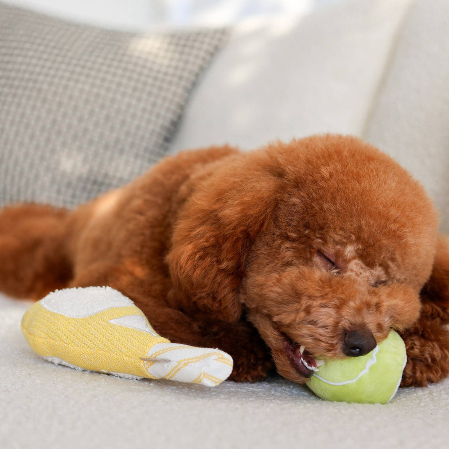 Tennis Pop Enrichment Dog Toy