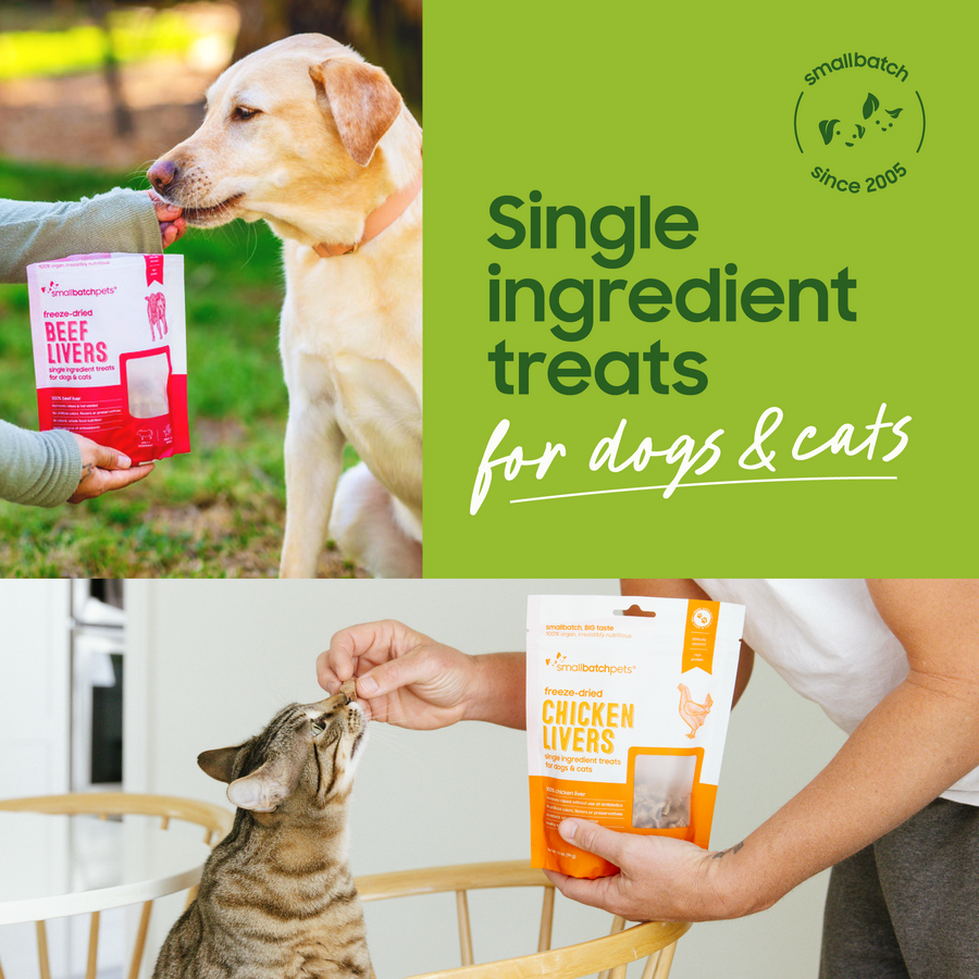 Freeze-Dried Chicken Liver Treats — image 2