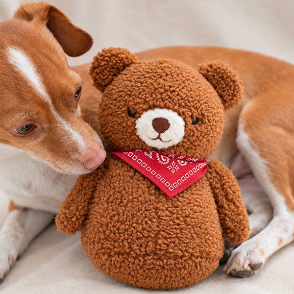 Bandana Bear Plush Dog Toy