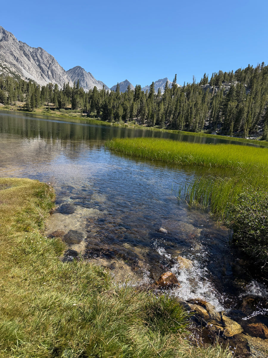 High Sierra Trail Mix - Amica Science x Pretty Good Boy Collab Pack