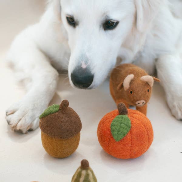Acorn Wool Dog or Cat Toy