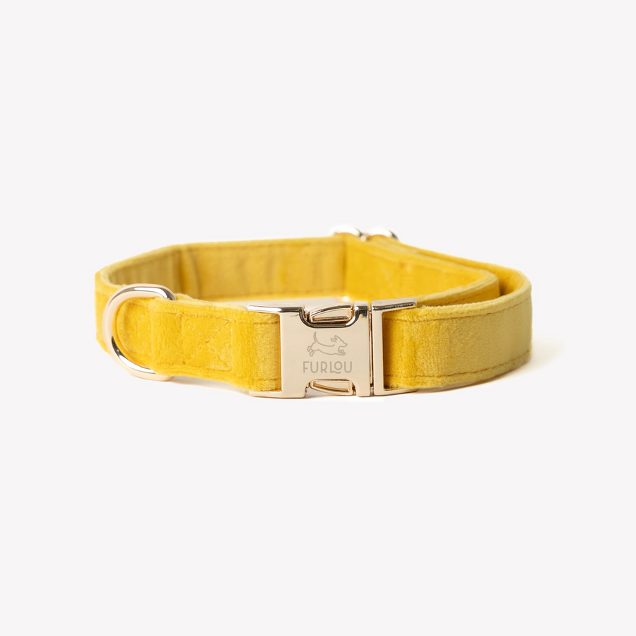 Velvet Dog Collar - Yellow