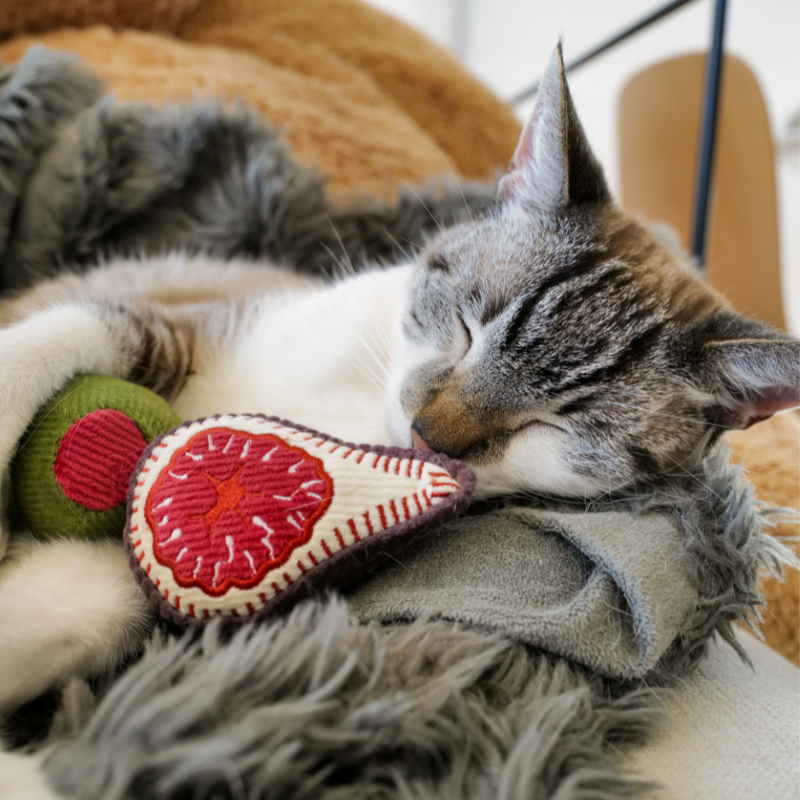 Kitty Olive + Fig Cat Toy