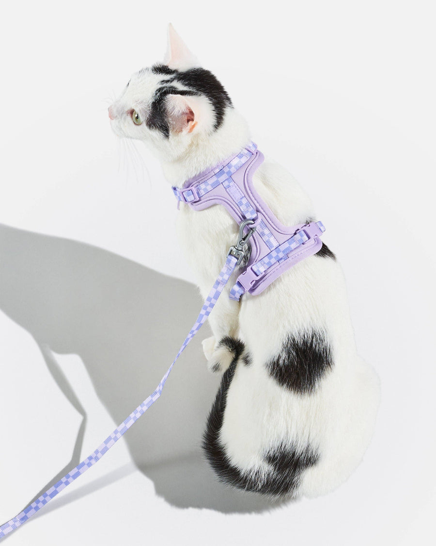 Wild One Cat Harness & Leash