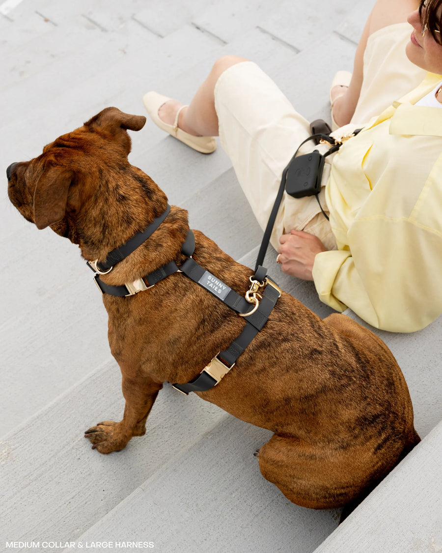 Snap Dog Treat Pouch