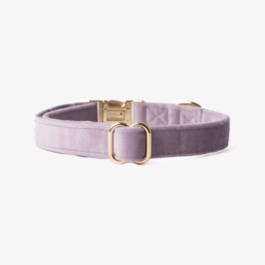 Velvet Dog Collar - Lilac