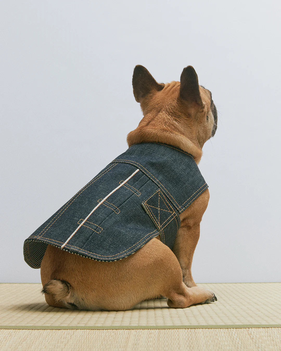 Blue Paws Denim Type-1 Dog Jacket Pretty Good Boy