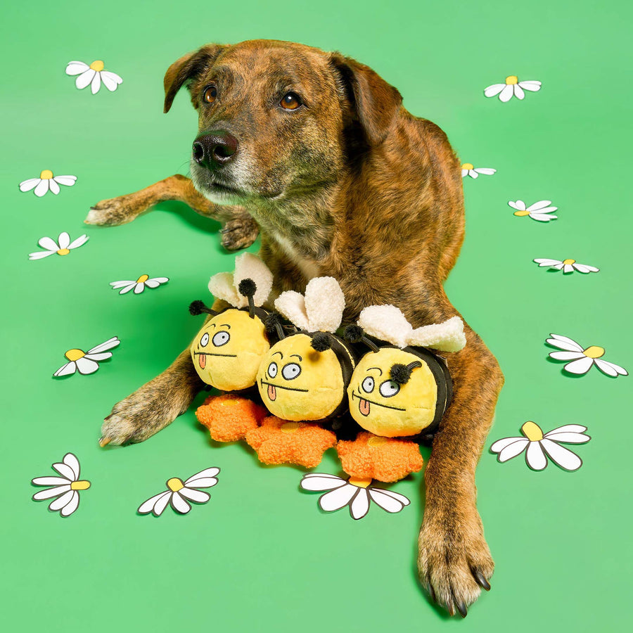 Bee Happy Nosework Toy