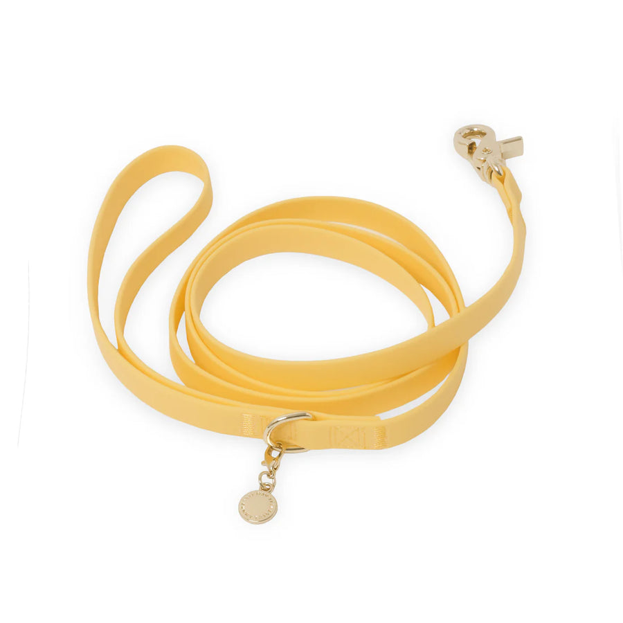 Waterproof Cloud Leash