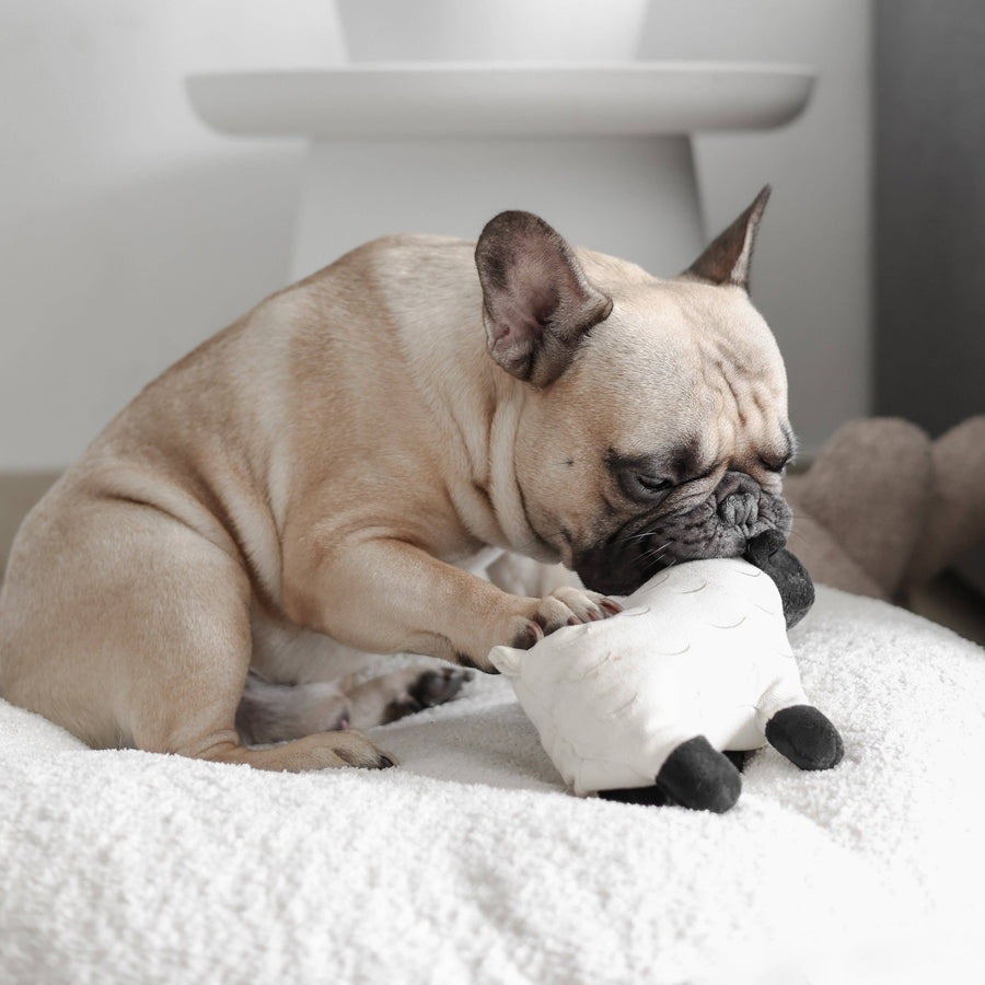Dolly Dog Toy