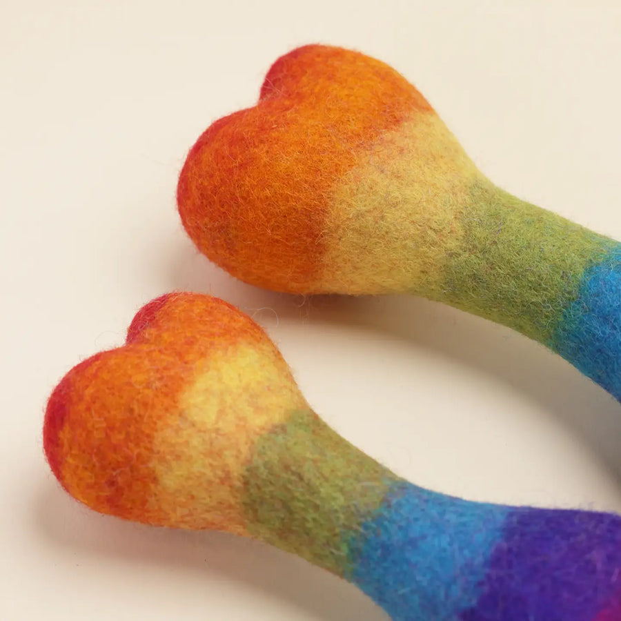 Rainbow Woolbone Dog Toy