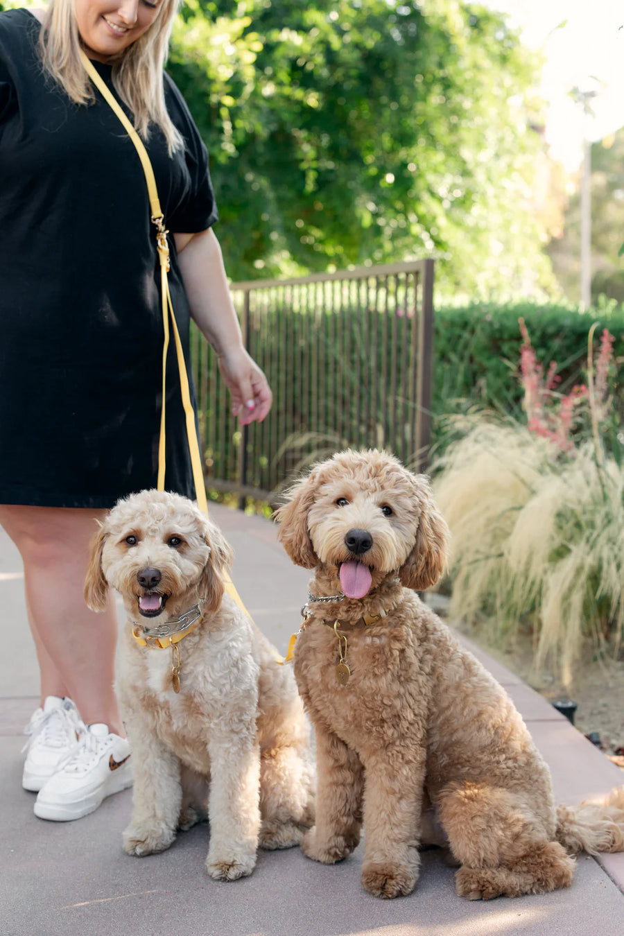 4-in-1 Convertible Hands Free Cloud Dog Leash