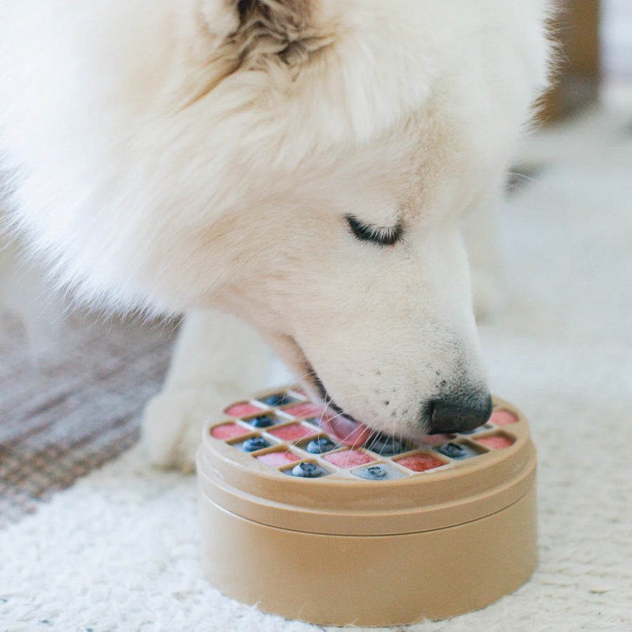 3-in-1 Bento - Lickmats + Slowfeeder