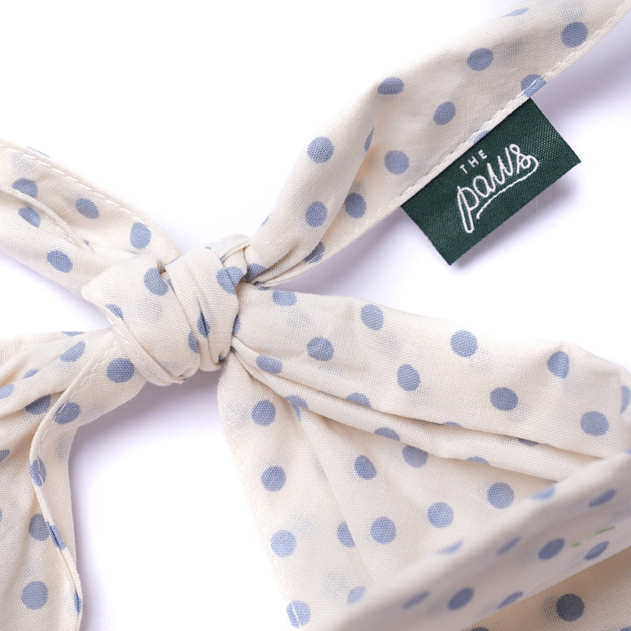 Polka Dot Blue Dog Bandana