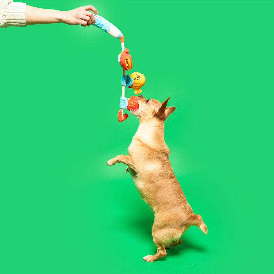 Fishing Nosework & Tug Toy