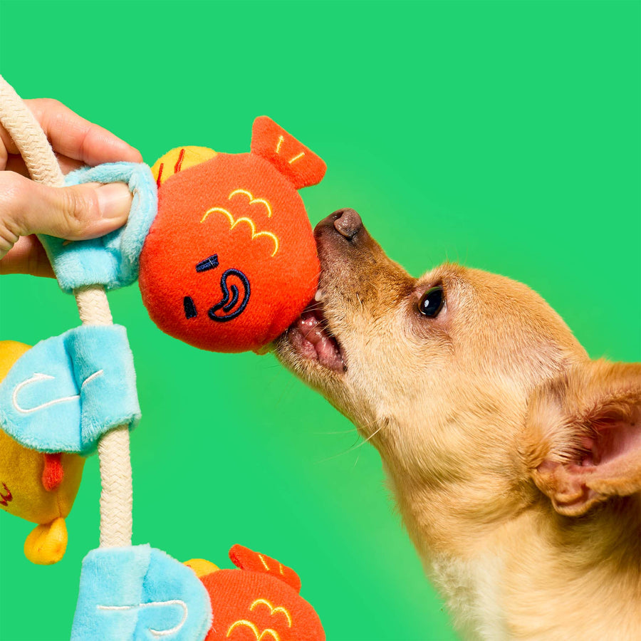 Fishing Nosework & Tug Toy