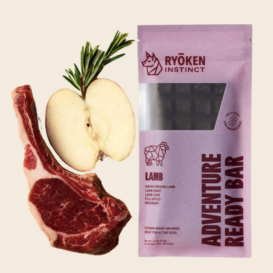 Lamb Treat & Snack Bar for Active Dogs - Energy & Recovery