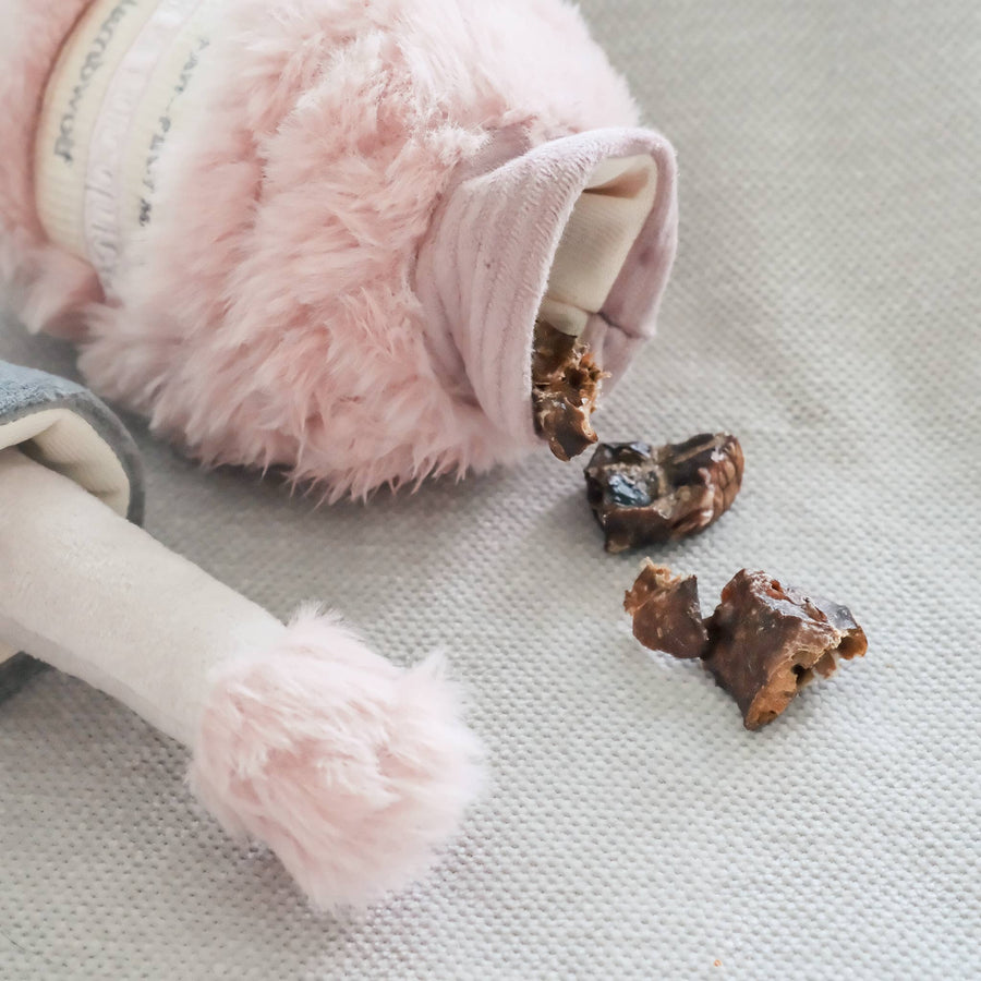 Nail Polish Enrichment Dog Toy