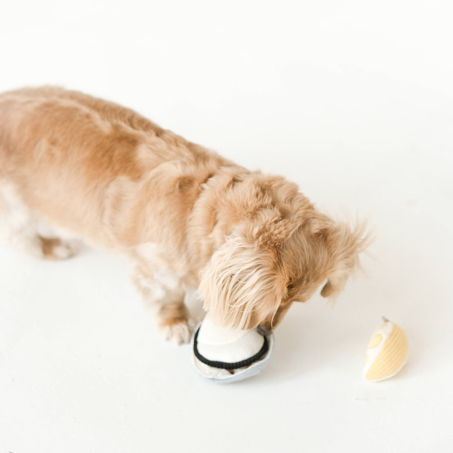 Gillardeau Enrichment Dog Toy