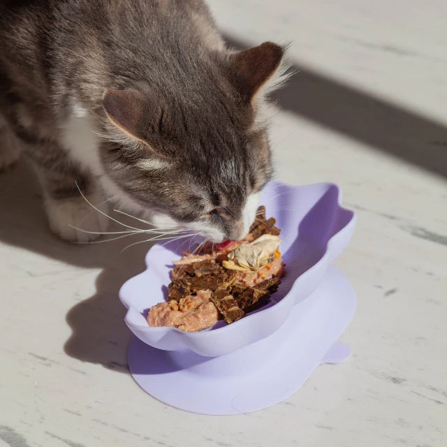 Whiskies Cat Bowl