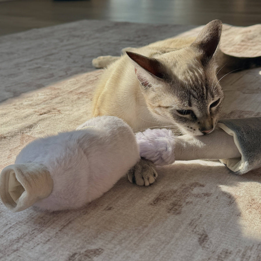 Siamese cat playing with the Kitty Nail Polisher cat toy