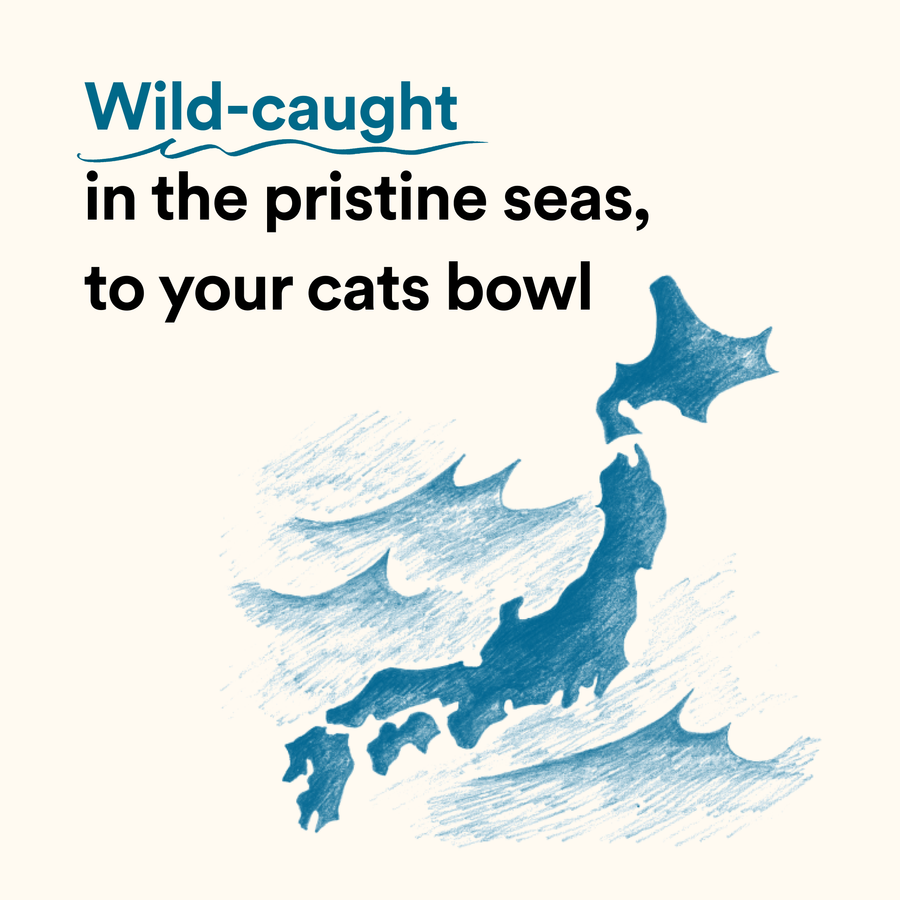Umami Treats - Bonito Flakes for Cats and Dogs
