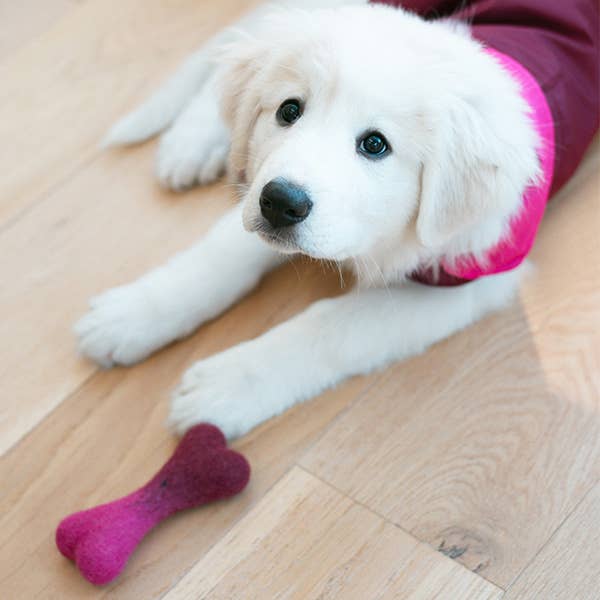 Ombre Woolbone Dog Toy