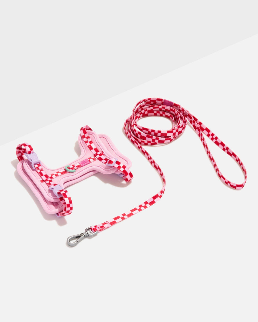 Wild One Cat Harness & Leash