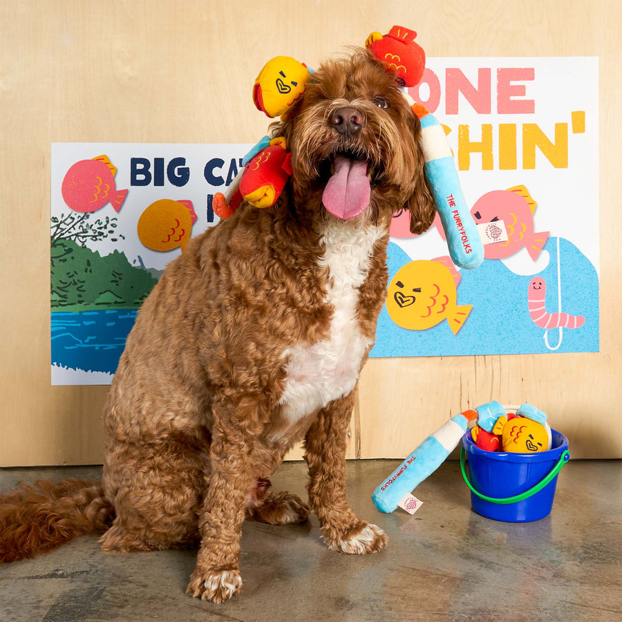 Fishing Nosework & Tug Toy