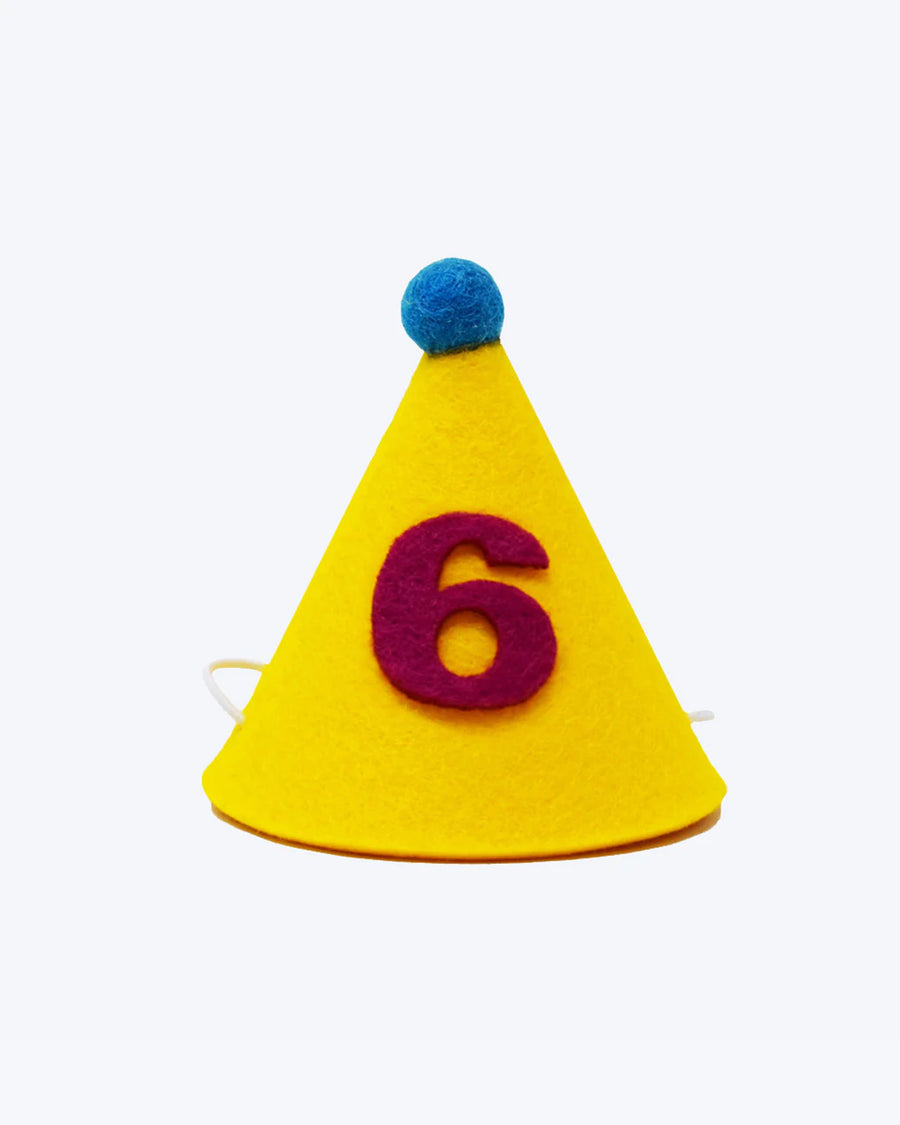 Number Pawty Hat