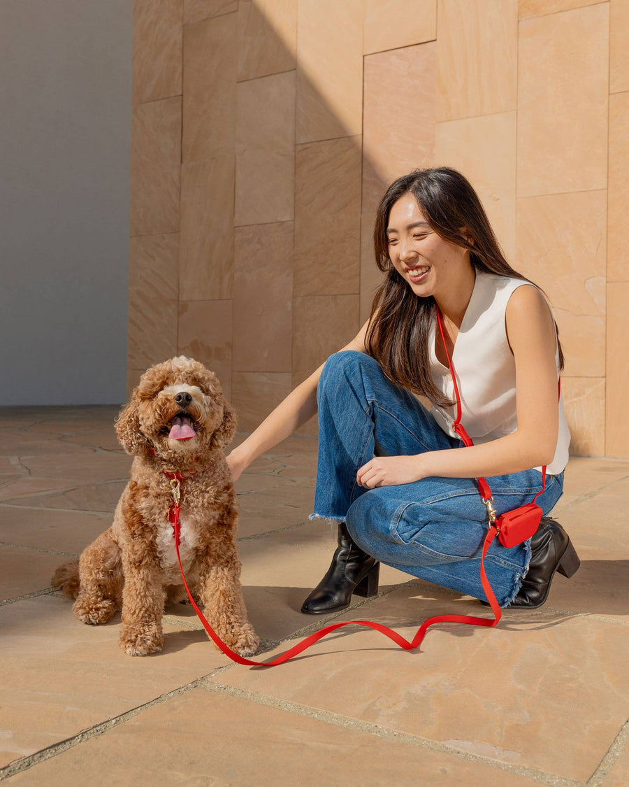 Snap Dog Treat Pouch