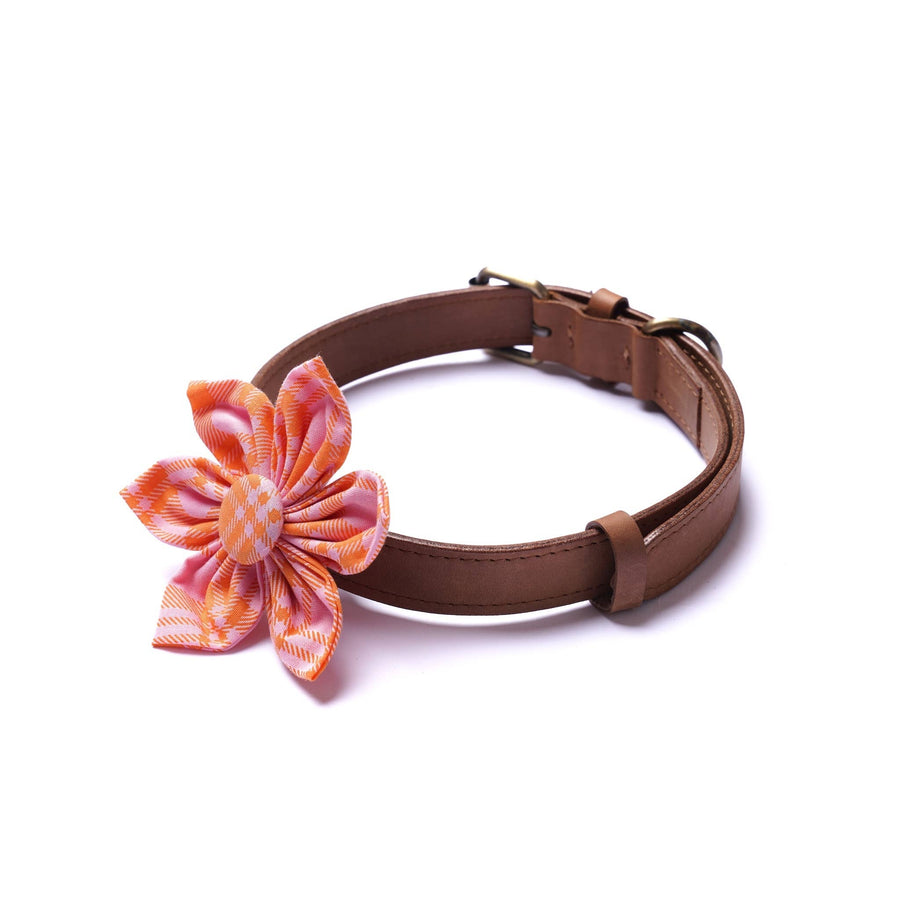 Stevie Collar Flower