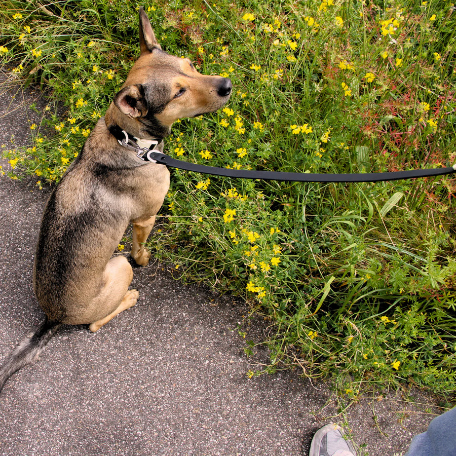 The Fritz Collar