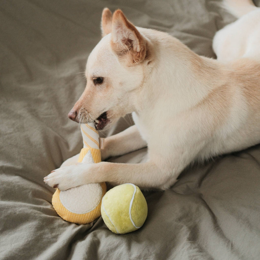 Tennis Pop Enrichment Dog Toy