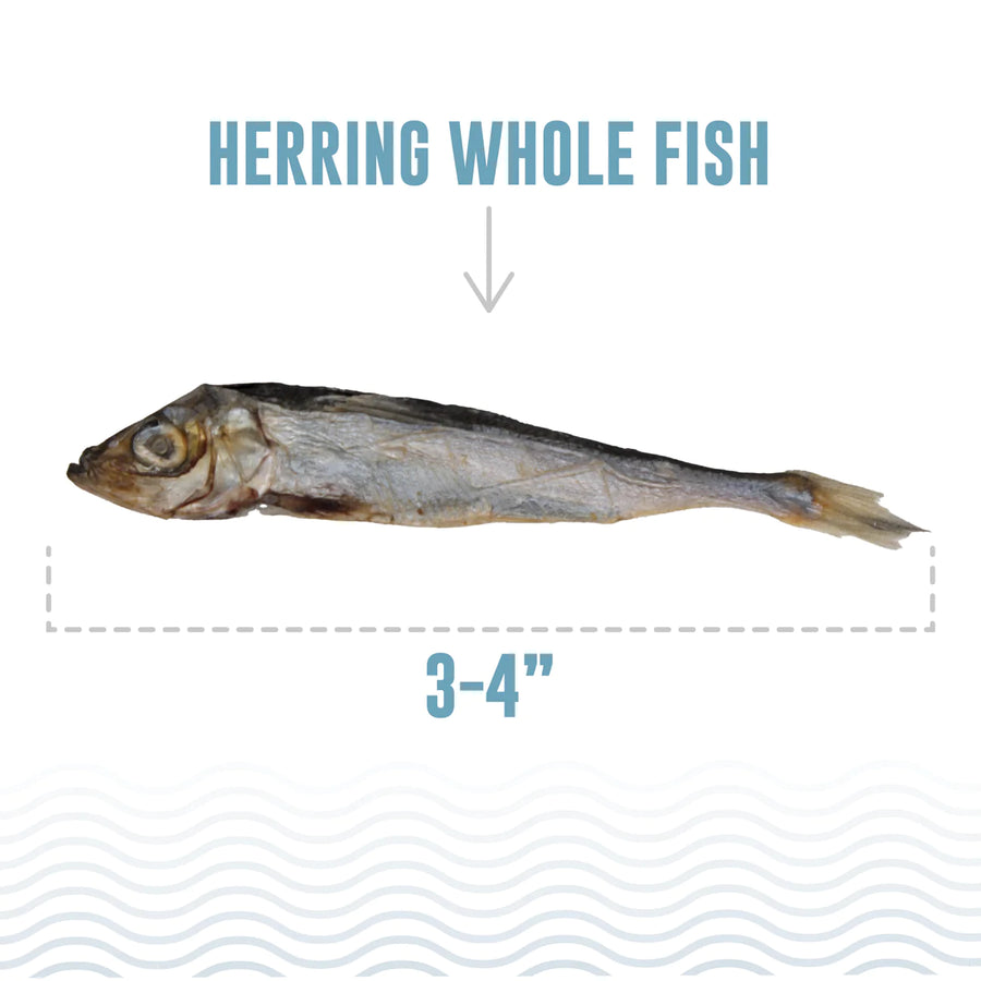 Herring Whole Fish Cat Treats