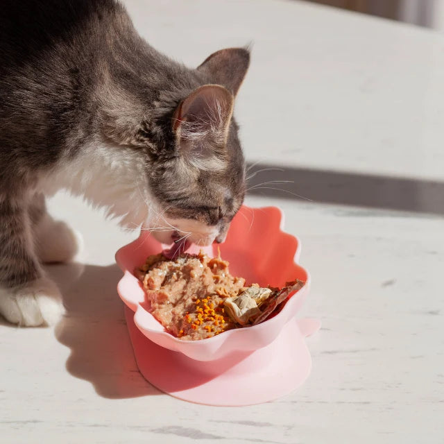 Whiskies Cat Bowl