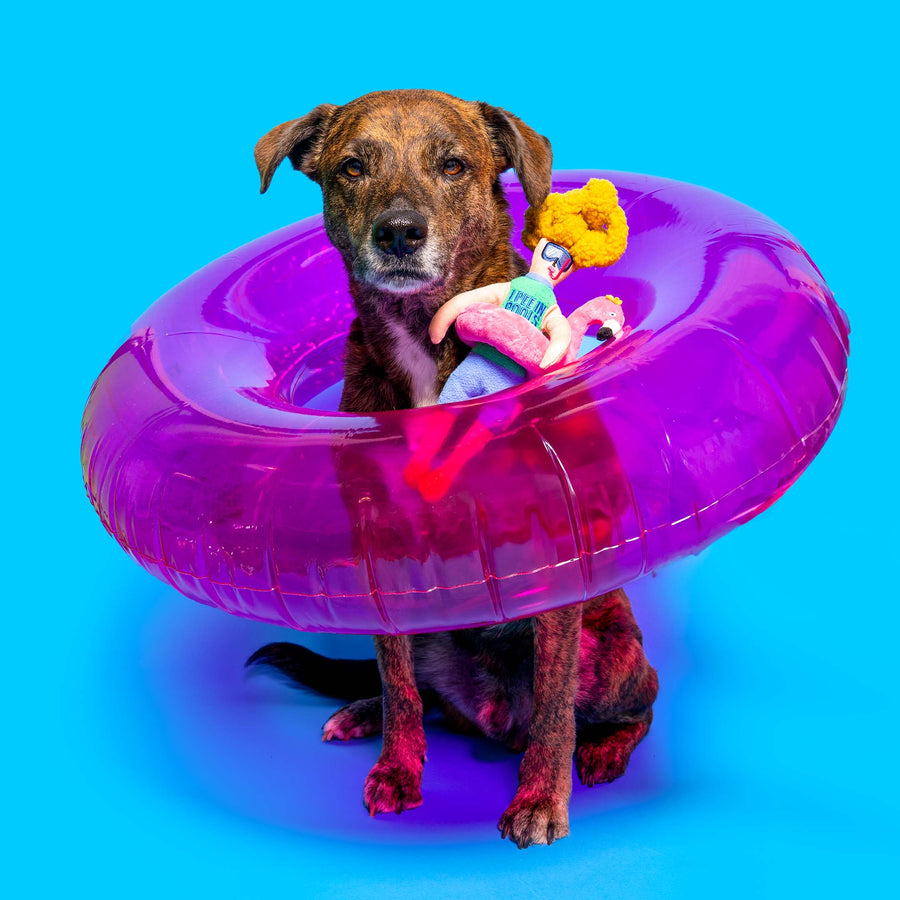 Flamingo Hooman Nosework Toy