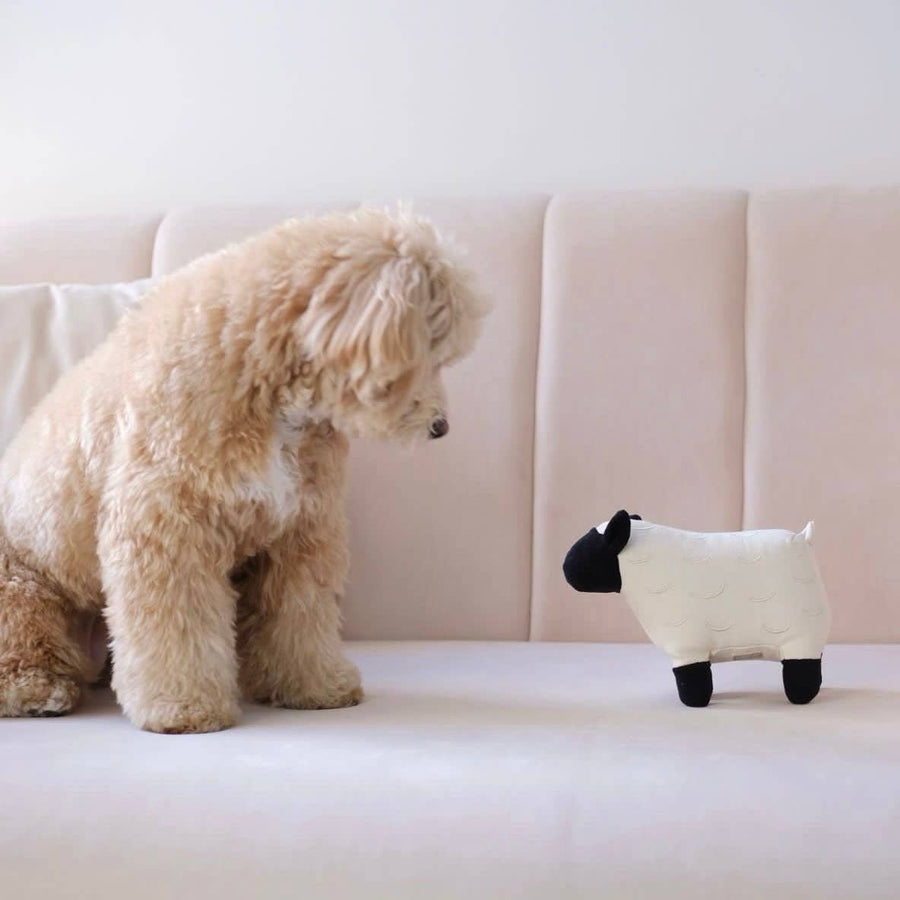 Dolly Dog Toy