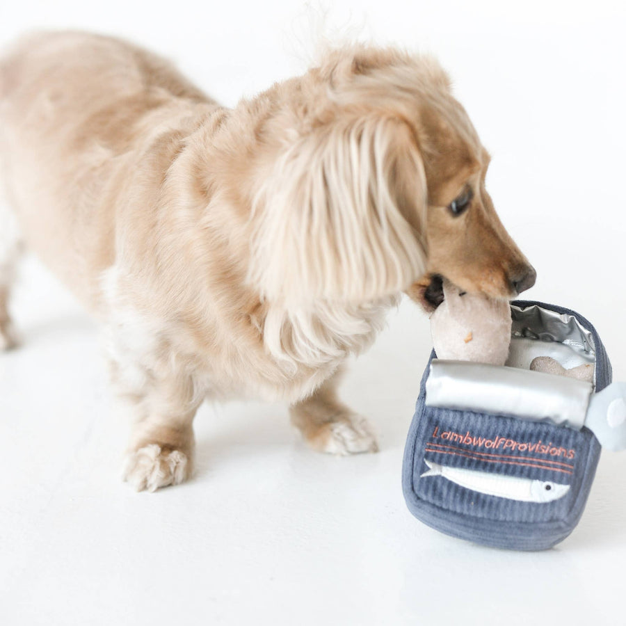 Sardines Dog Toy