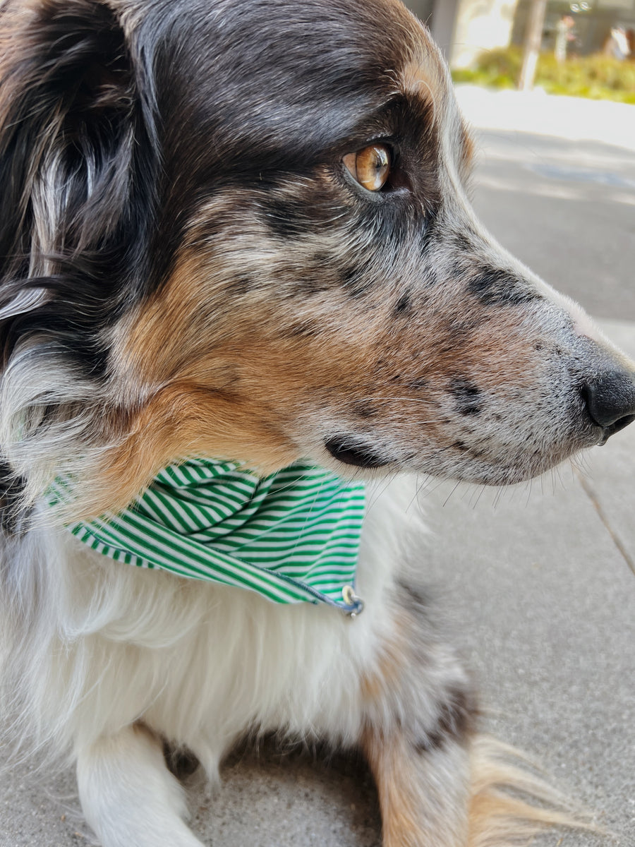 Pierced Bandana