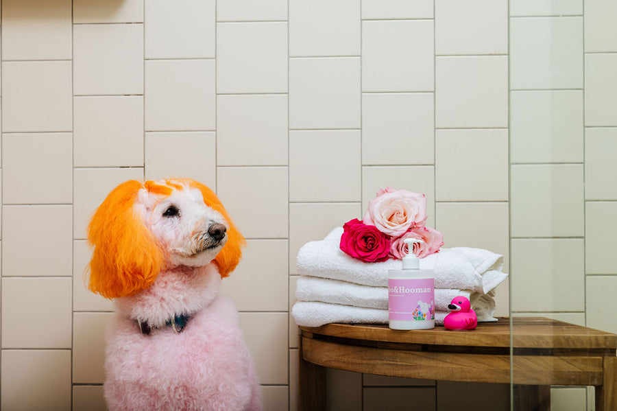 In Bloom Shampoo & Conditioner Duo