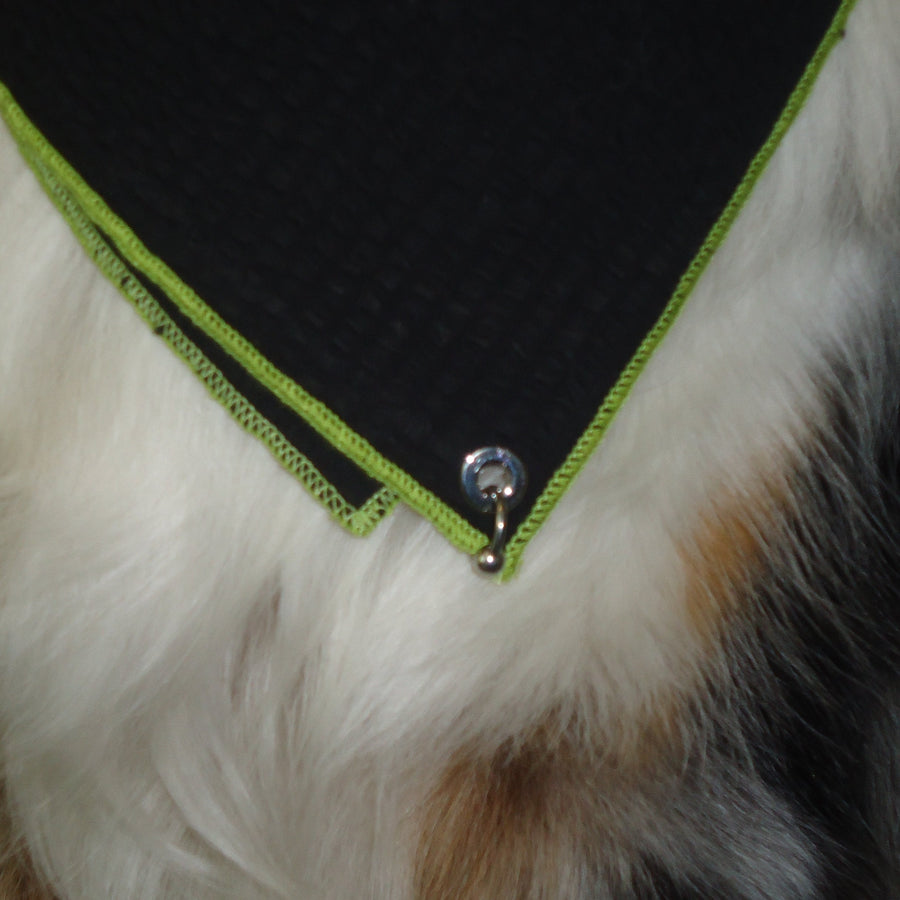 Pierced Bandana