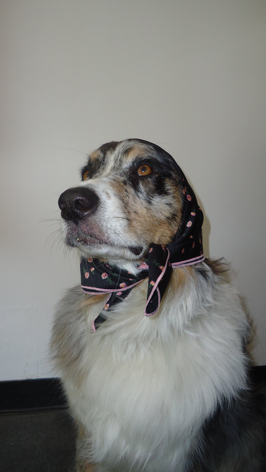 Pierced Bandana