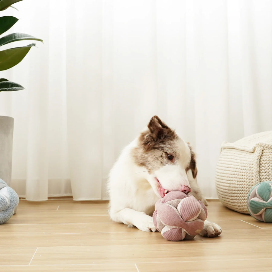 Monti Silent Snuffle Ball
