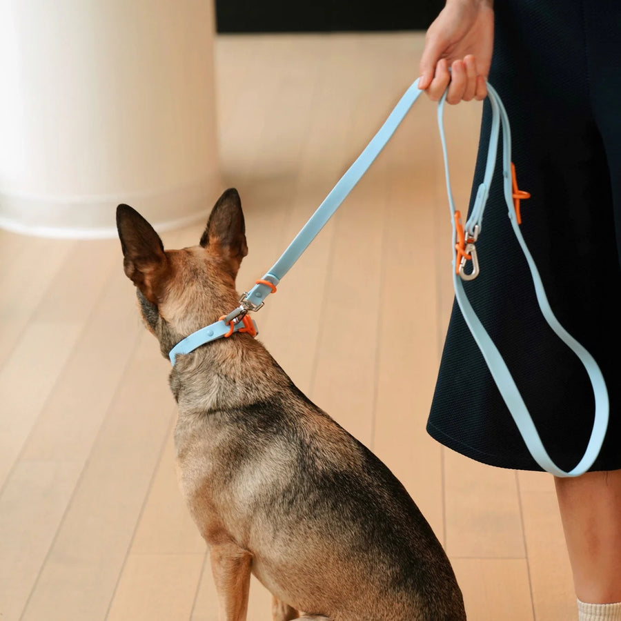 The Fritz Collar