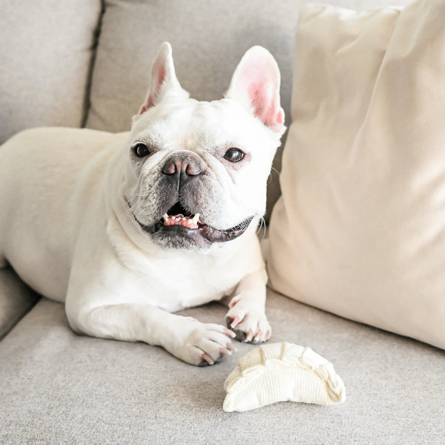 Dim Sum Pop Dog Toy