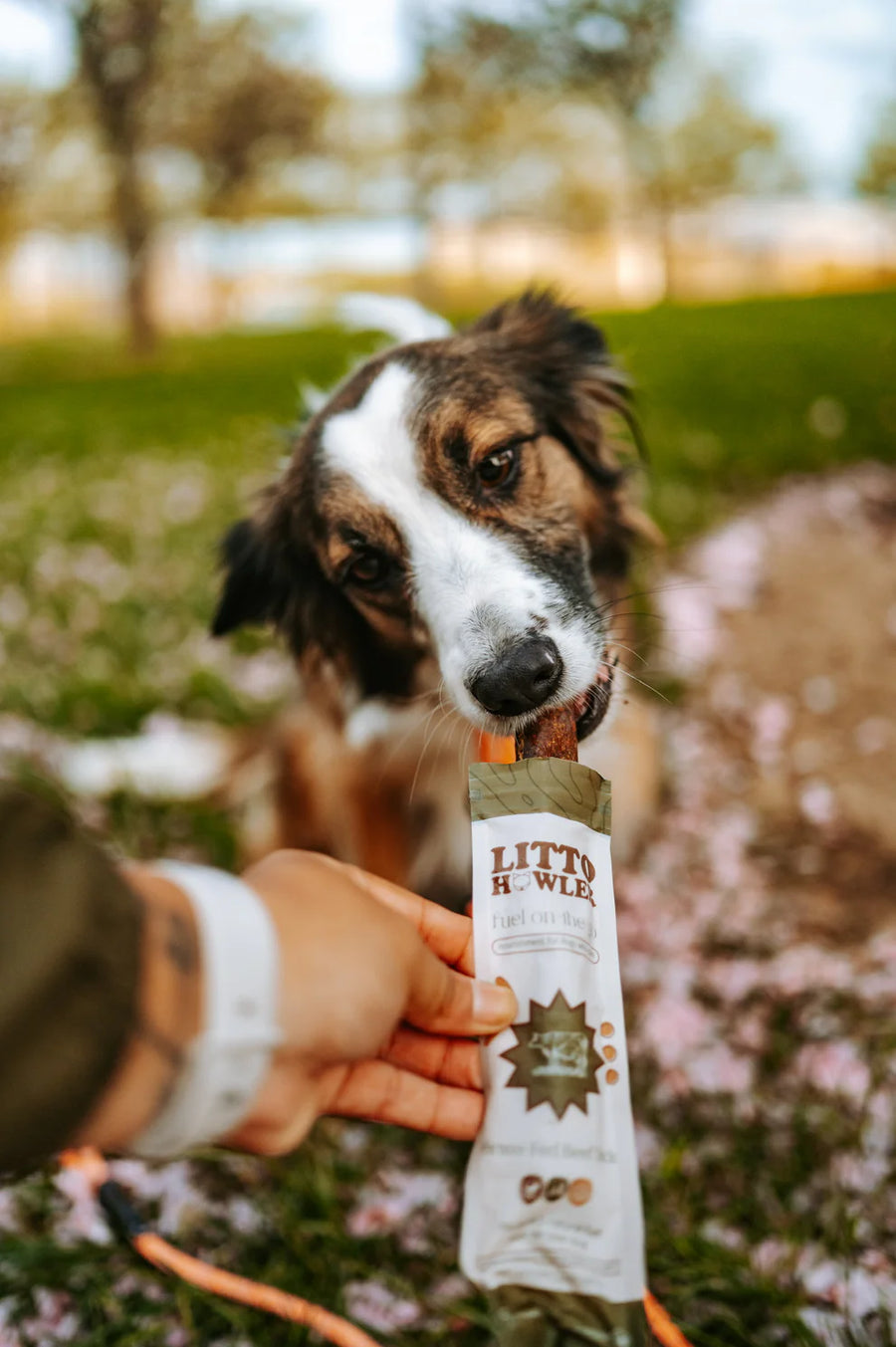 Grass Fed Beef Stick