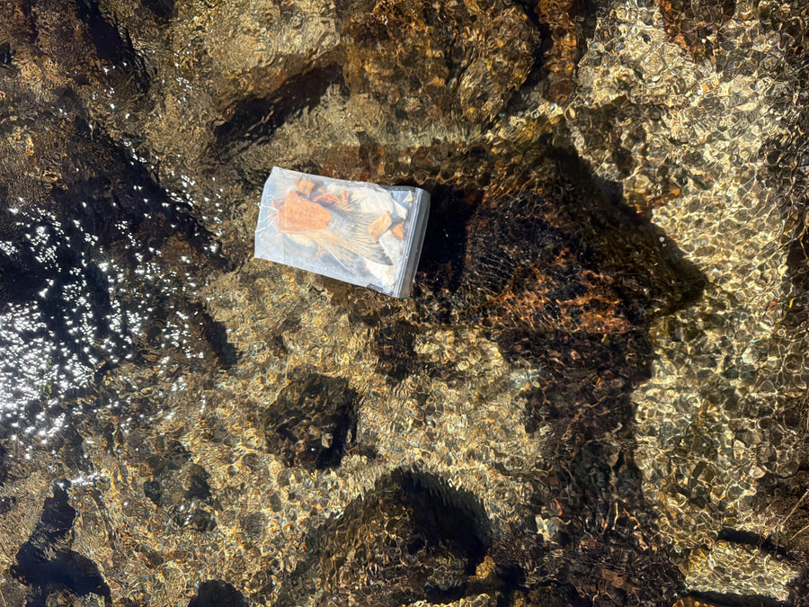 High Sierra Trail Mix - Amica Science x Pretty Good Boy Collab Pack