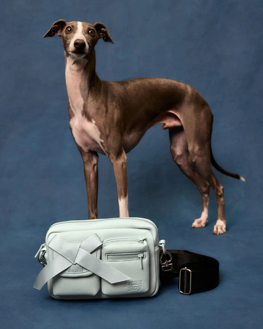 Walking Bag