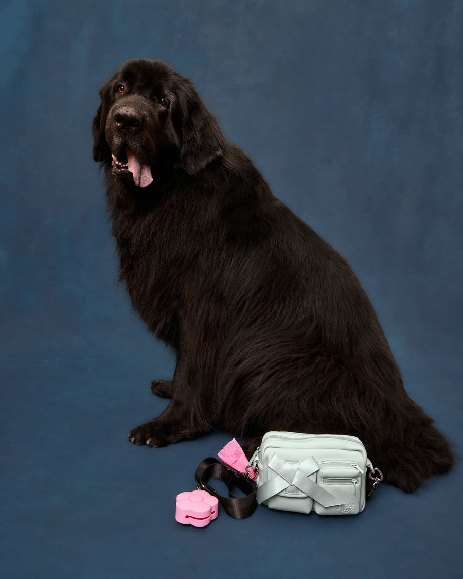 Walking Bag